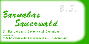 barnabas sauerwald business card